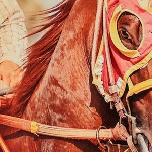 Meet your Posher, Angel